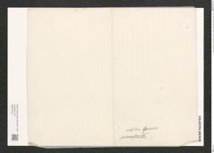 Nitzschia calida Grun. (de-Toni-Nr.: Genus 47, Species 2030) Zeichnungen Sammlung Grunow (NHMW-BOT-W0371813)